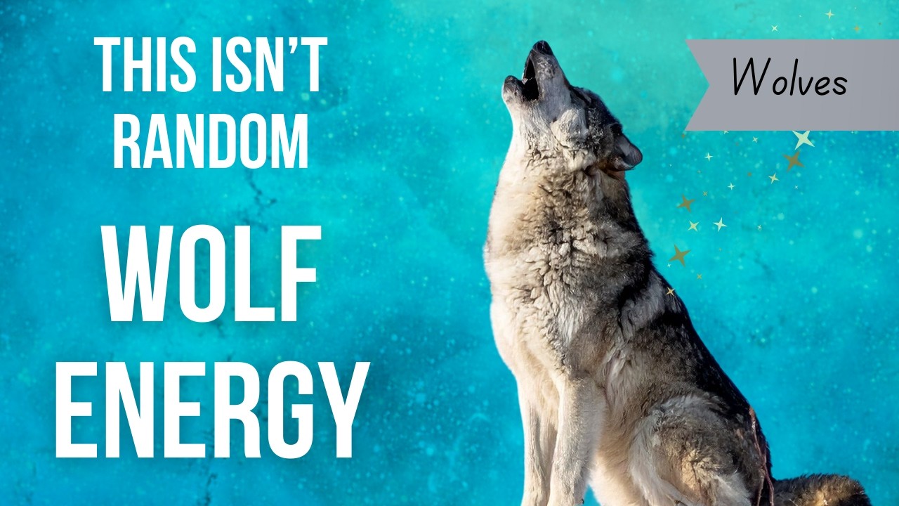 Wolf Spirit Meaning: Why You Keep Seeing Wolves