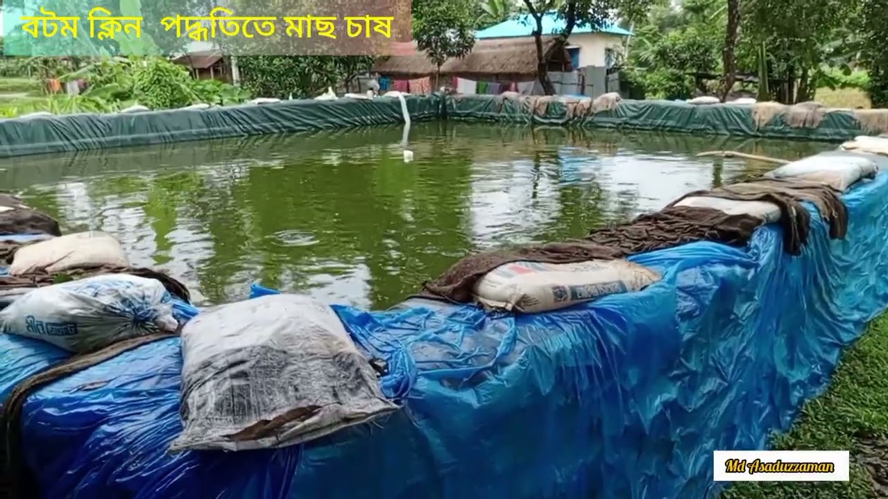 বটম ক্লিন পদ্ধতিতে মাছ চাষ।Fish।