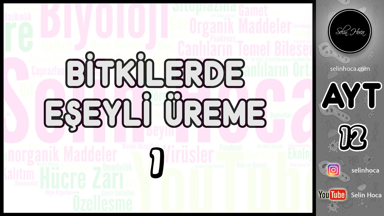 25) Bitkilerde Eşeyli Üreme 1 (Tohum ve Yumurta Oluşumu)