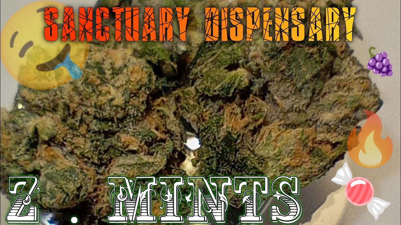 #66 Z.Mints (Official Product Review)Sanctuary Dispensary Product