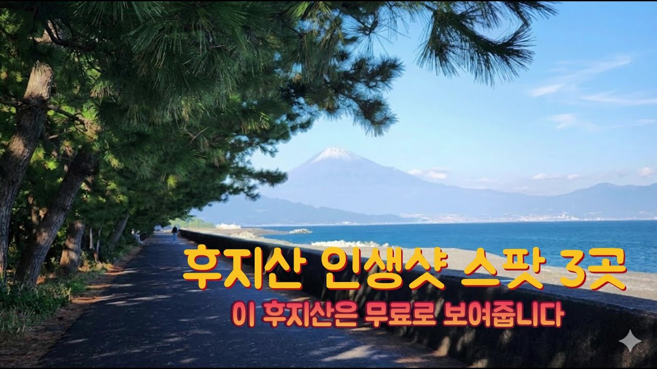 엄마랑 시즈오카 여행, 여기 안 가면 손해! 입장료 0원 후지산 명당 3곳 🗻無料なのに最高すぎた！富士山が見える穴場3選