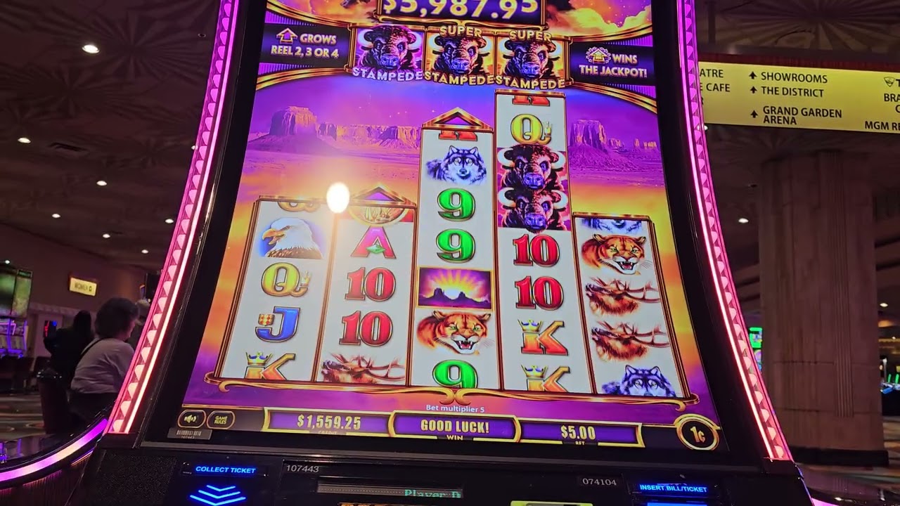 Aristocrat Buffalo Ascension Max Bet war for Gold! 