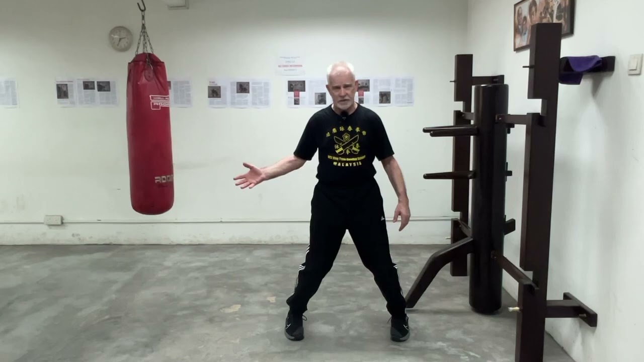 ‘WSL Ving Tsun Kuen Hok’ - breaking it down #48 - the ‘Siu Nim Tau’ form in detail (Pt.12)
