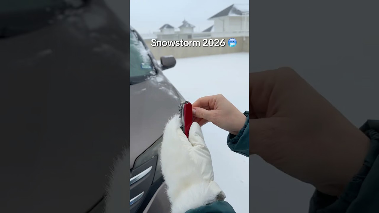 Snowstorm 2026How to Prepare and Stay Safe#safety #tips #storm #snow #winterstorm #shorts