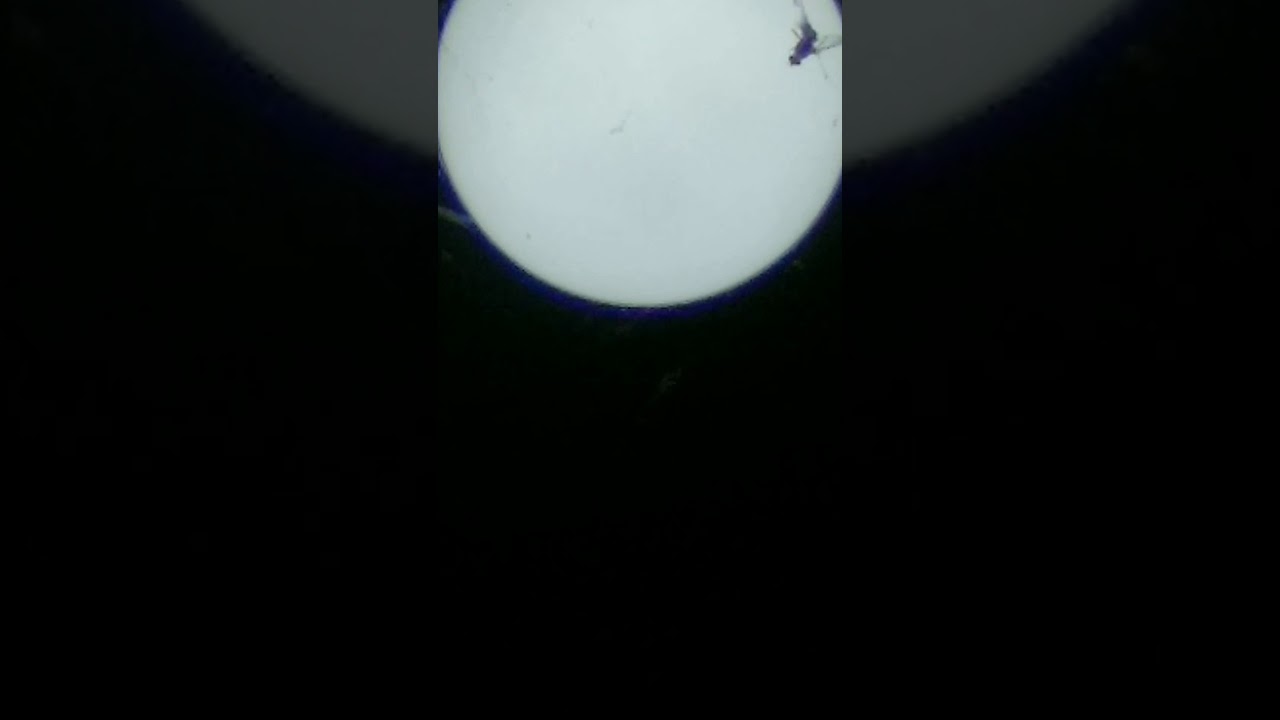 PENUMBRA MOON