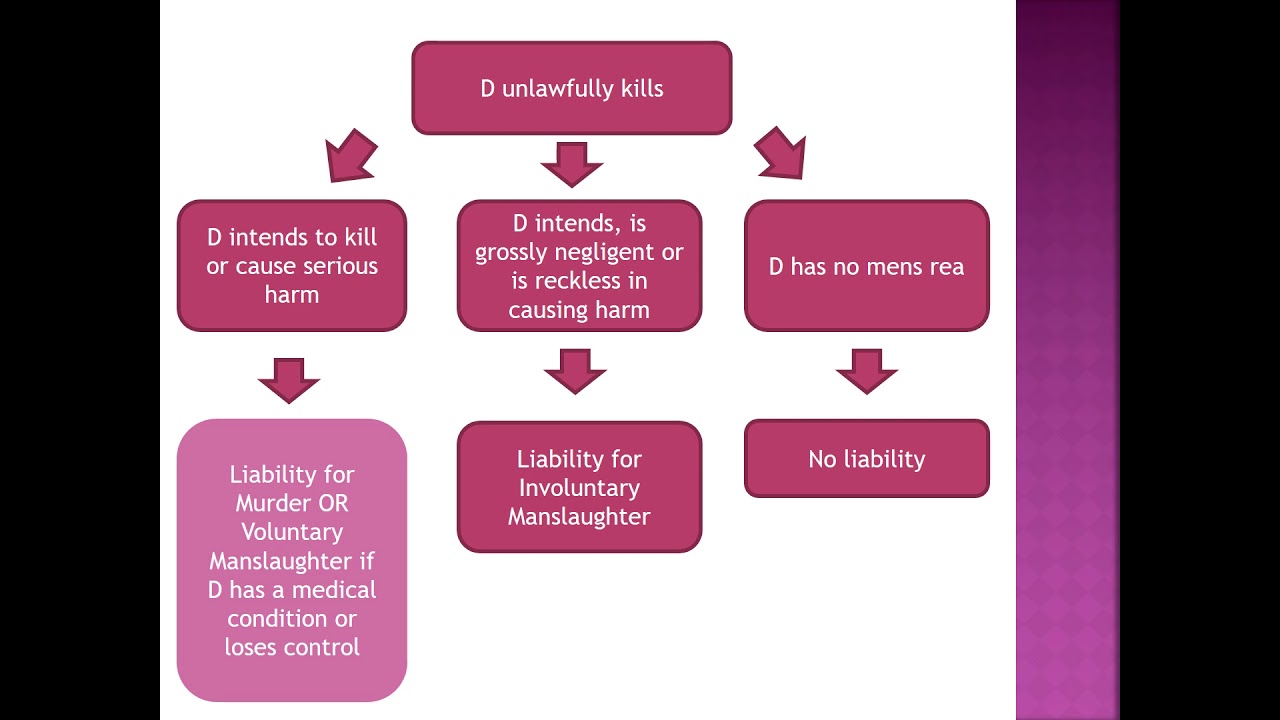 Voluntary Manslaughter
