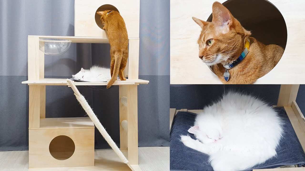 DIY Amazing Cat Tower for My Three cats