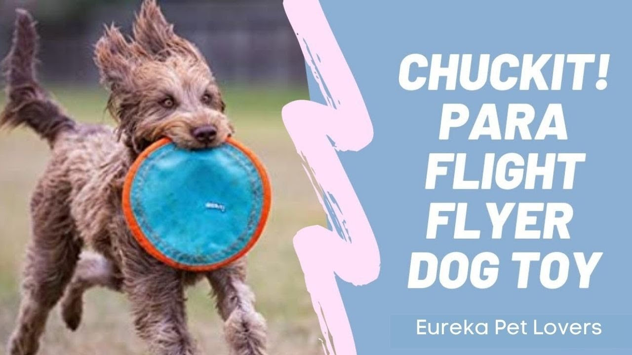 Chuckit! Paraflight Flyer Dog Toy | Amazon | Video | Review