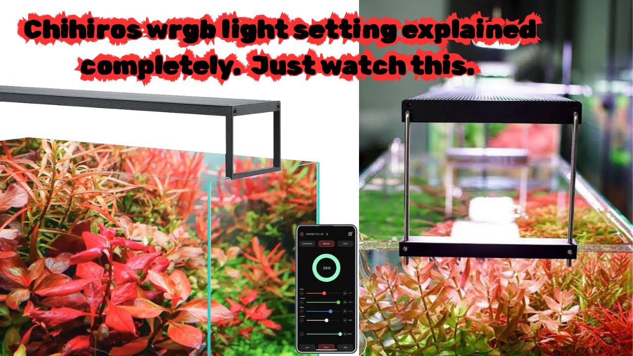 Must watch before buying. Are Chihiros WRGB 2 light setting on aap. #bestsolutionsforchihiros