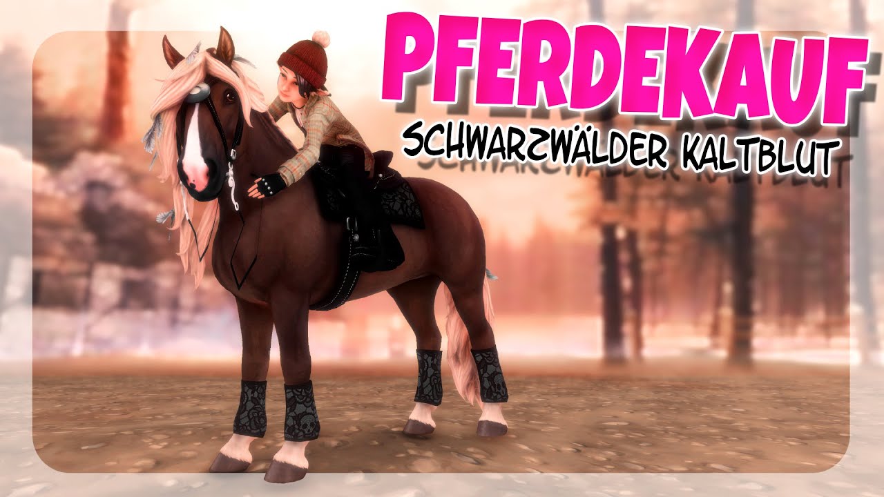 WUNDERSCH&Ouml;NES NEUES PFERD 🐴 SCHWARZW&Auml;LDER KALTBLUT PFERDEKAUF ✨ | Star Stable [SSO]