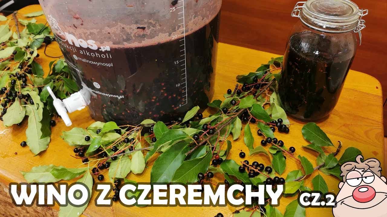 Przepis na wino z czeremchy część 2 - PROSTE WINO 2022 CZEREMCHA!
