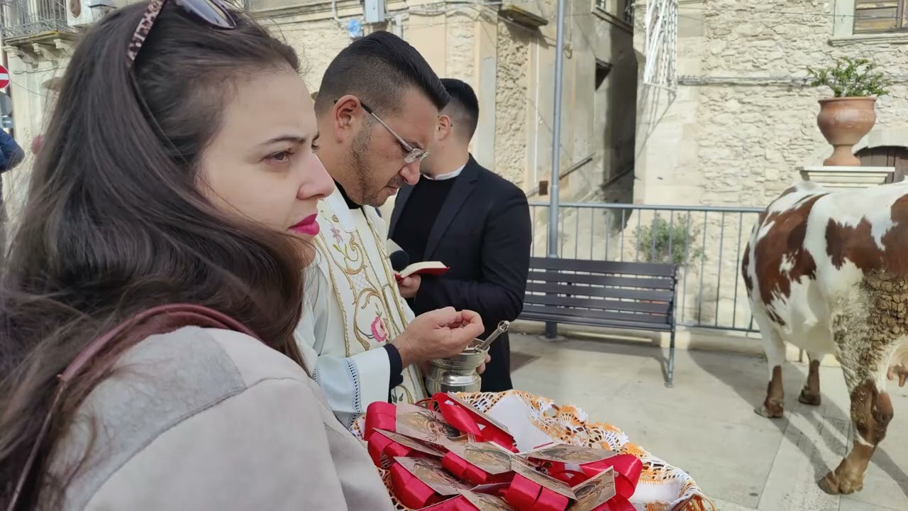 La Benedizione dei Buoi a Siderno Sup. (RC)