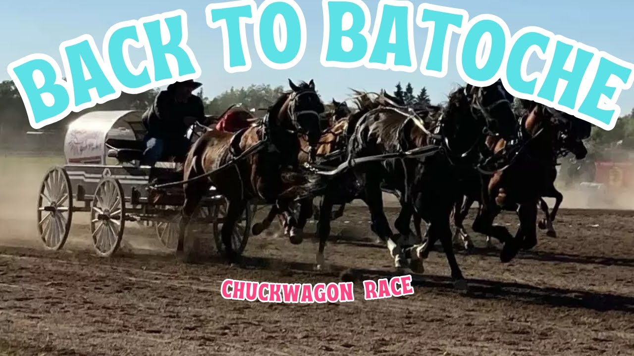 Гонка на лошадях Chuckwagon #родео #chuckwagongang #вирусноевидео #ковбои