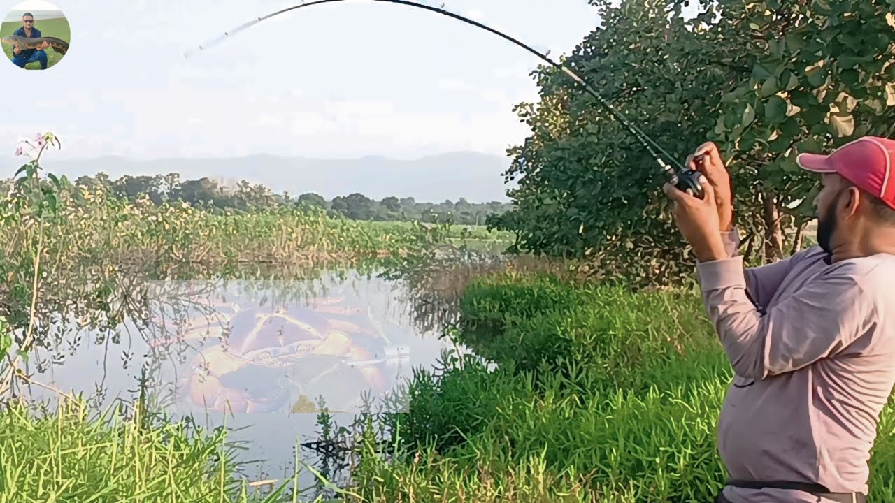 SNAKEHEAD  Murrel Fishing 🎣 The Hunt for Snakehead Fish 🐟