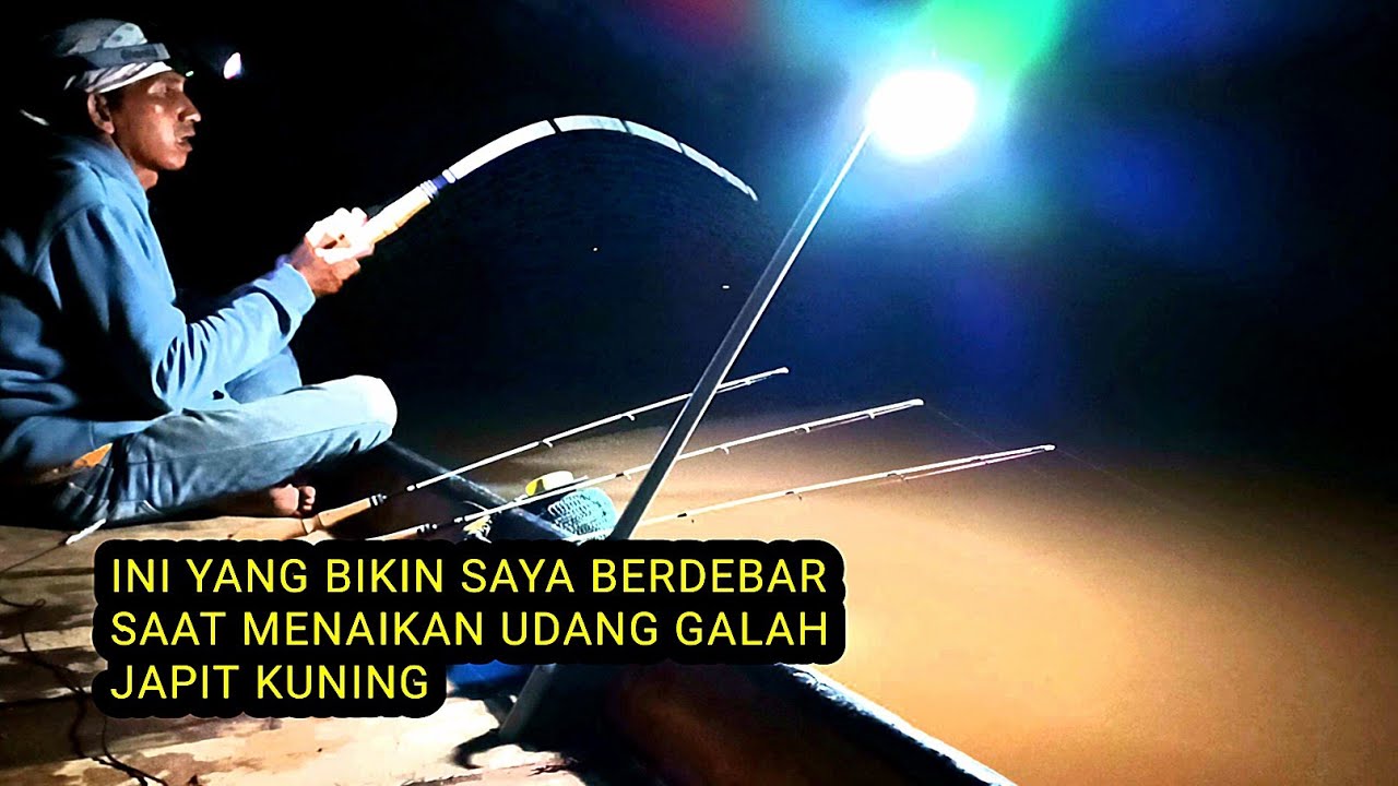 Mancing udang galah bersyukur bisa menjinakan udang berjapit kuning