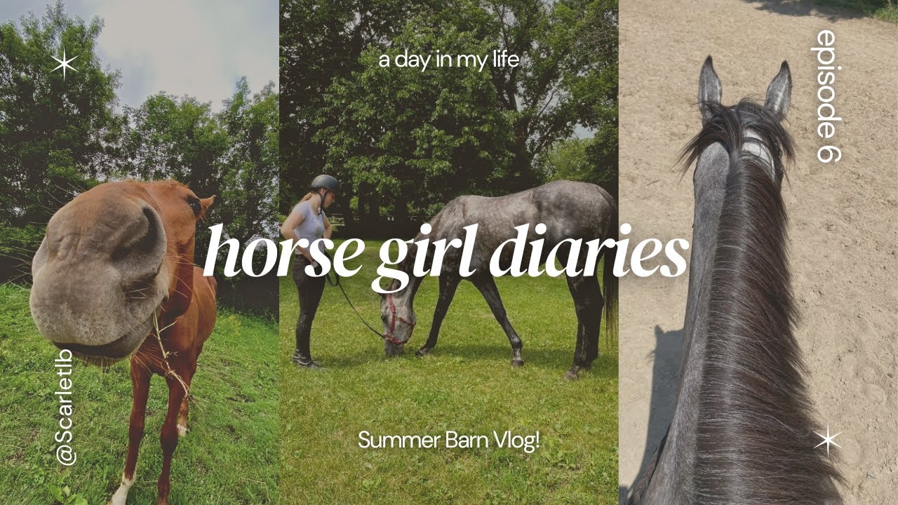 Summer Barn Vlog!! ☀️🐴🌿  (Equestrian working student day in the life)