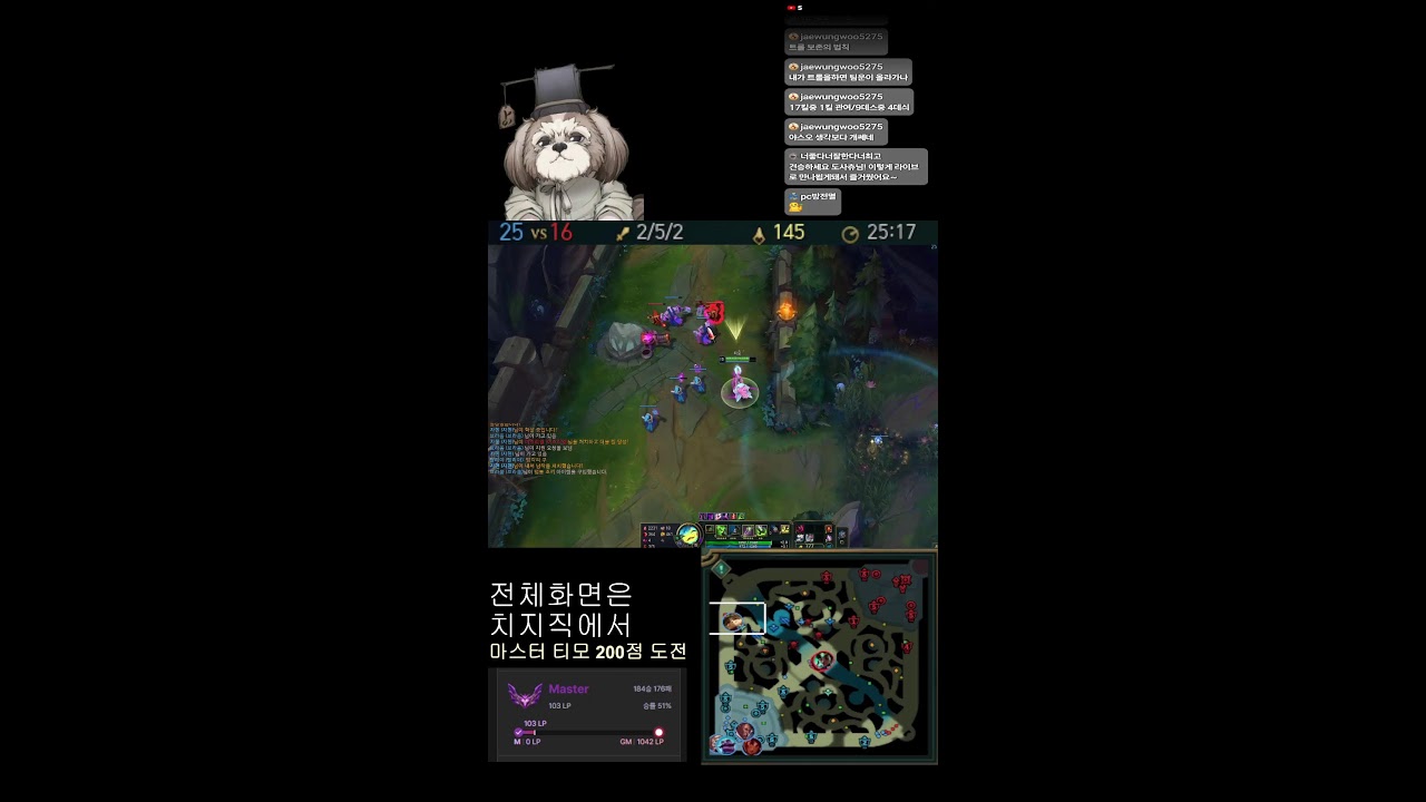 마스터 티모 마스터에서 살아남기