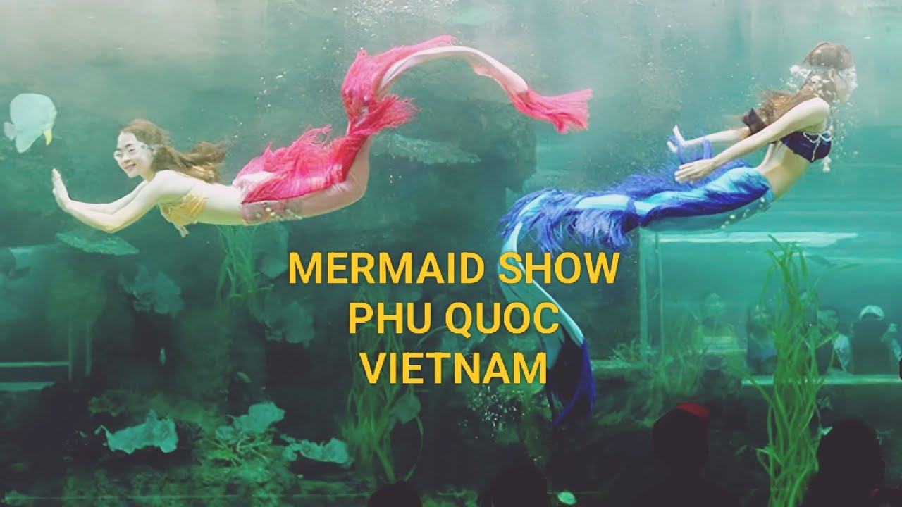 Phu Quoc’s Magical Mermaid Show 🧜‍♀️✨ | Vietnam Travel Vlog