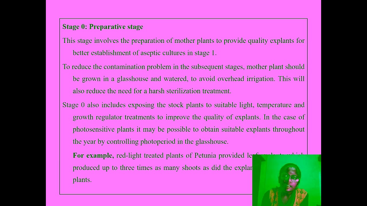 VID  3 Micro propagation stages