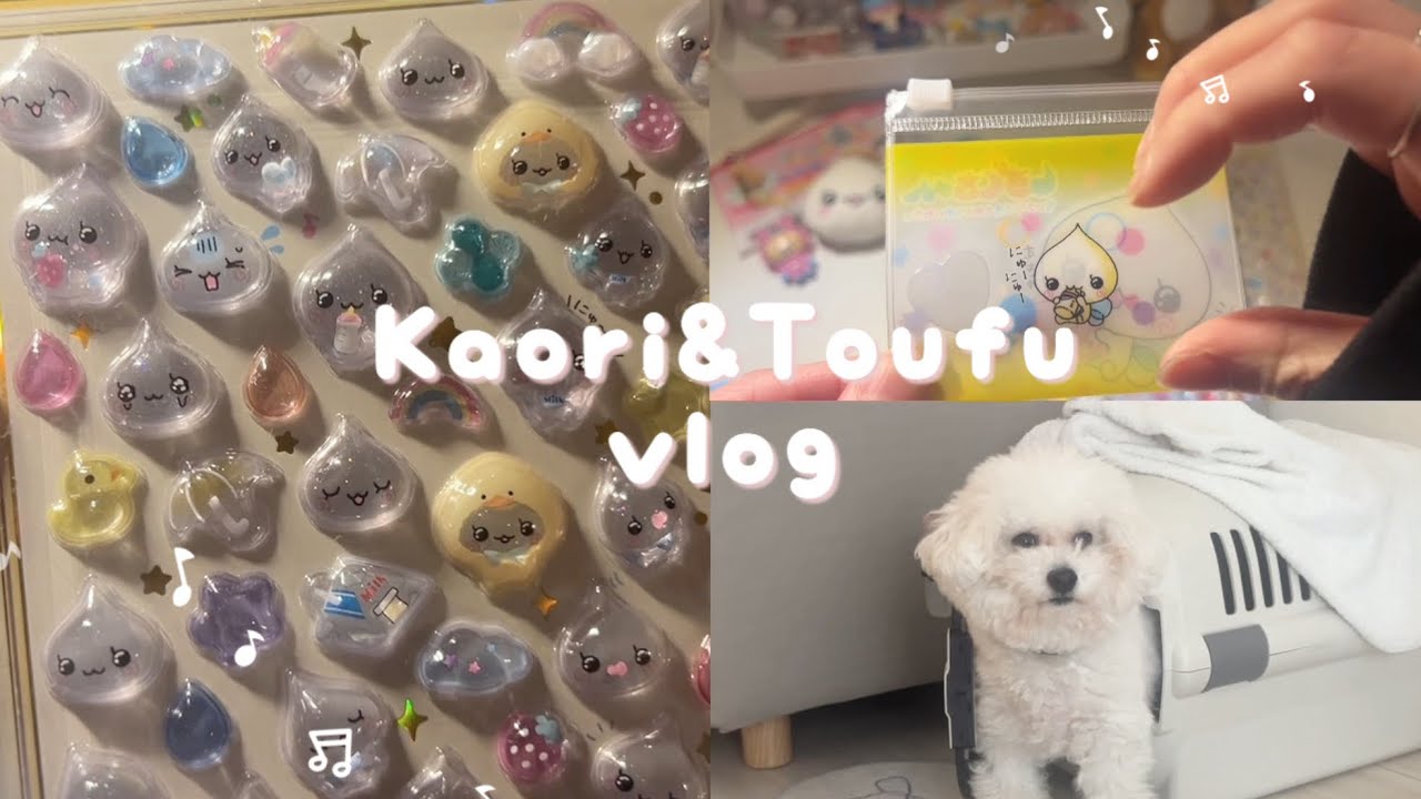 しずくちゃん𝙿𝙾𝙿 𝚄𝙿 𝚂𝚝𝚘𝚛𝚎購入品紹介꙳⋆❄︎