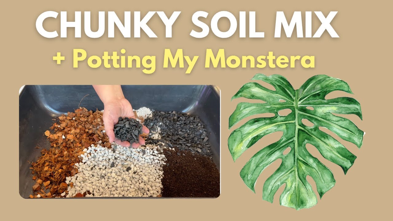 My Exact Chunky Soil Mix + Potting a Monstera Step-by-Step