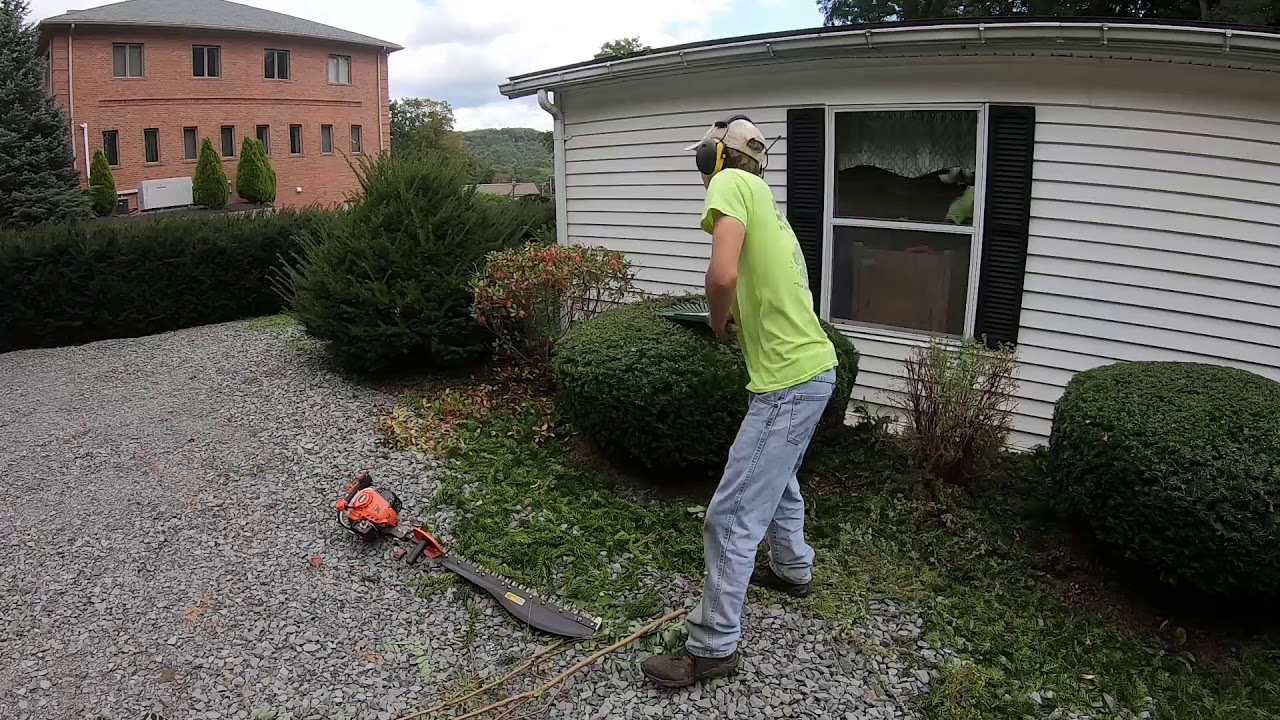 CRAZY Before/After! | Timelapse Hedge trimming | HCS 4020