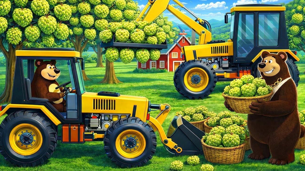 The Bear Farm 🍈🚜 | Sugar Apple Harvest & Storage Cleanup | Real Farm Animation