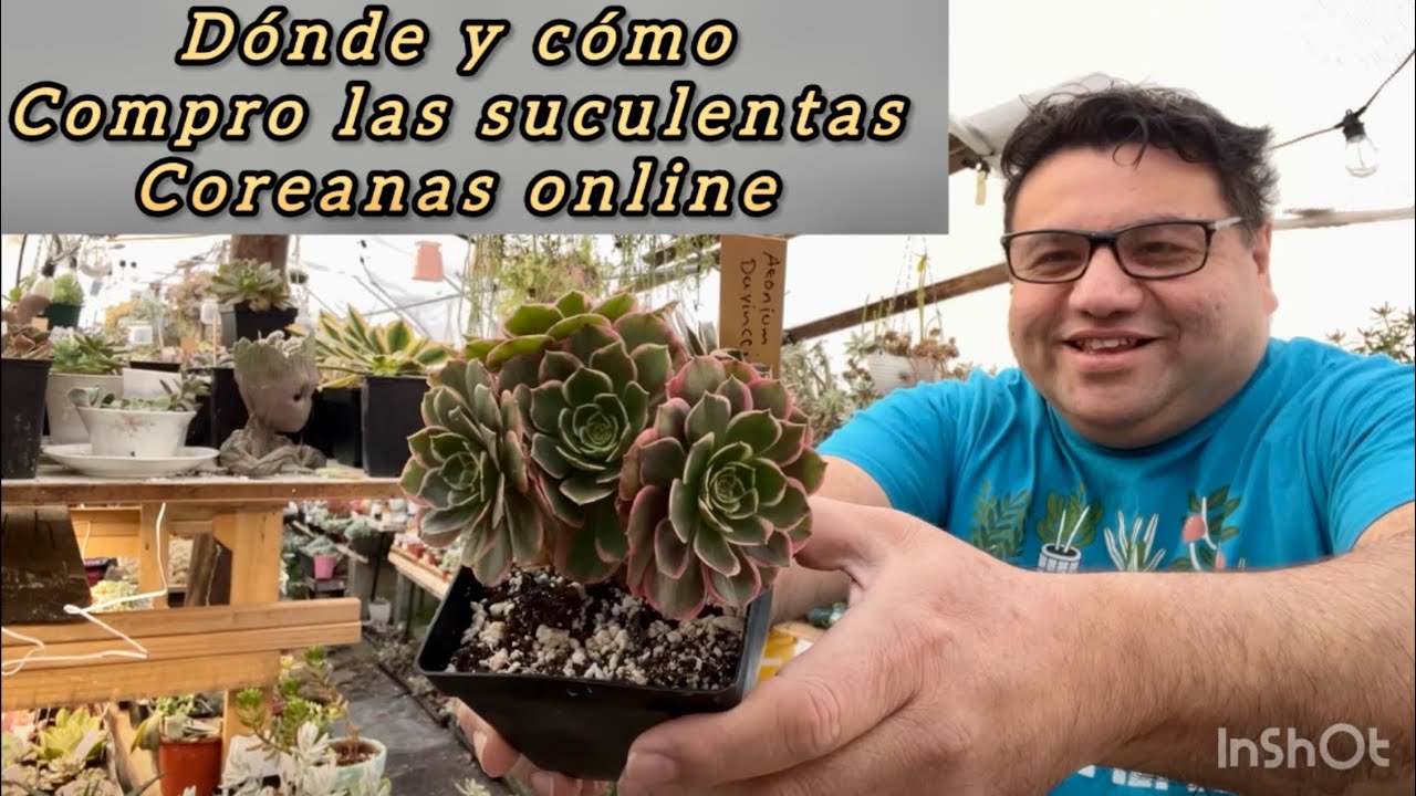saludo primer envivo 2026
