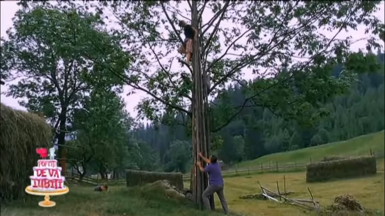 Nunta tradiționala și bătaie la fel. ep7