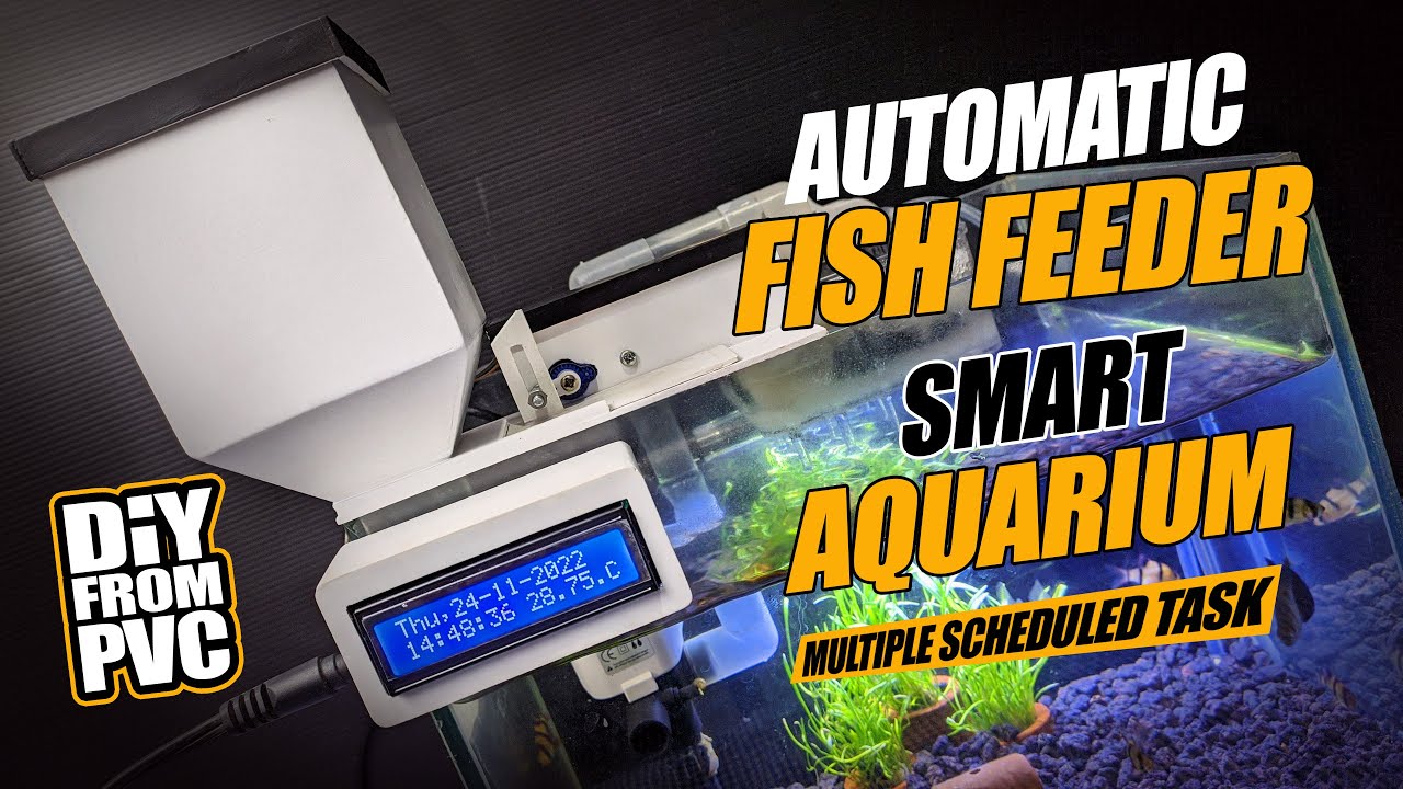Alat Pemberi Pakan ikan Otomatis DIY | DIY Fish Feeder | Automatic Fish Feeder