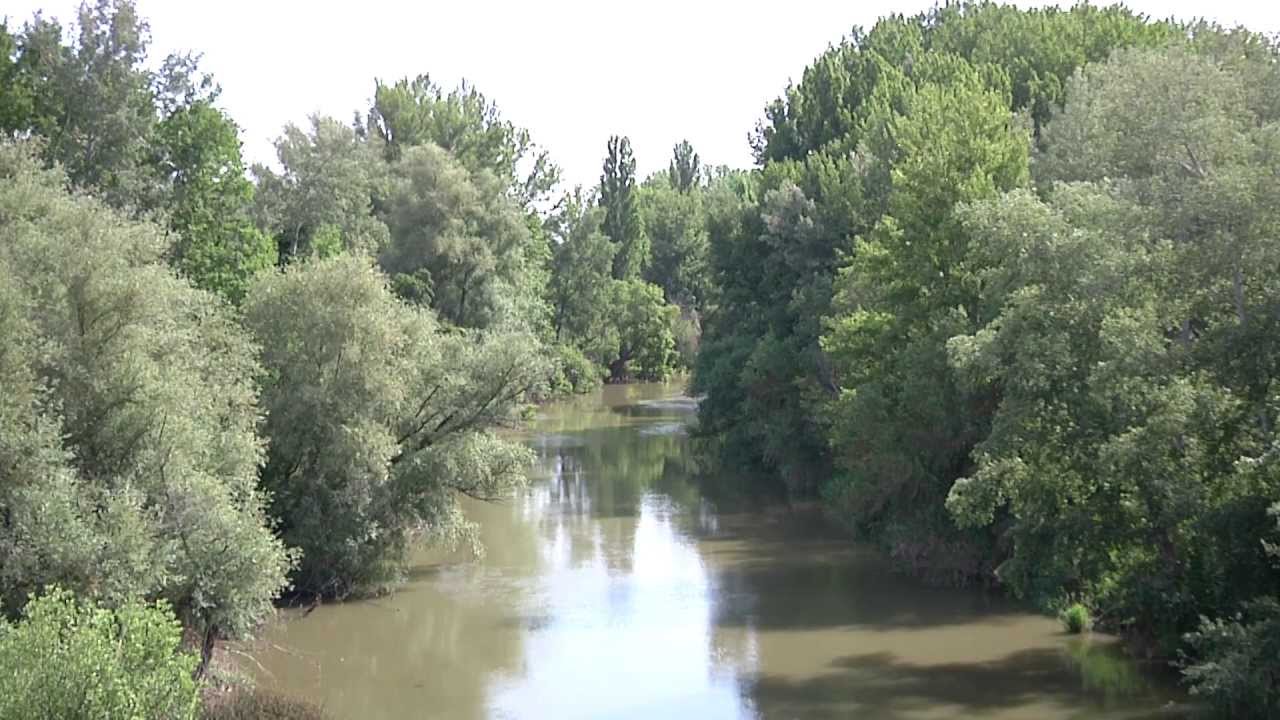 Roa de Duero