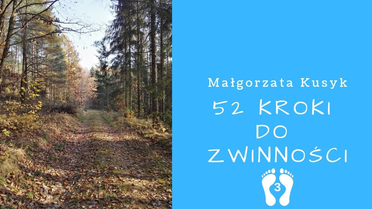 [AgilePMO] 52 Kroki do Zwinności (3) - co jest dla mnie ważne? Współpraca w zespole