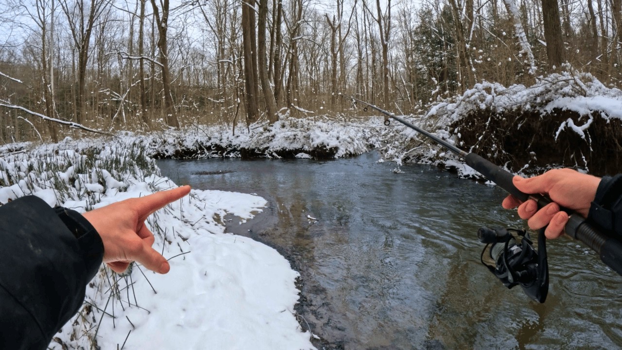Catching BIG Fish In A Tiny Creek!! (Part 1)
