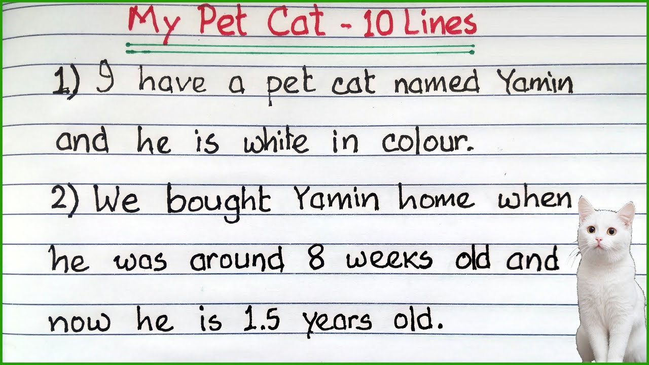 10 Lines on Cat in English | Cat Paragraph in English | 10 Lines Essay on Cat in English 🐈