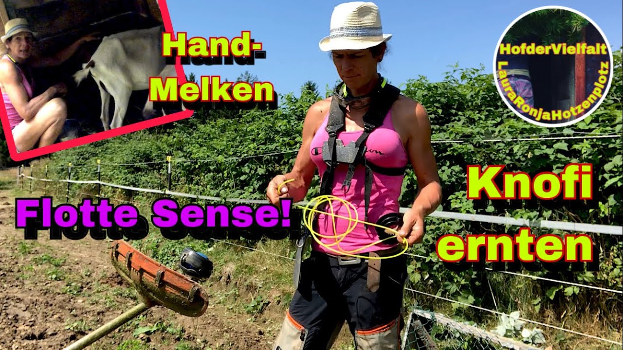 Motorsensen | Zaunschlamassel | Ein Straußenei | Schon wieder am Berg? und GartenYoutuber-Treffen?!