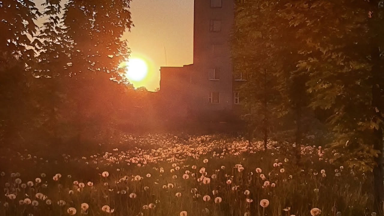 Past Day — Родина (EP)