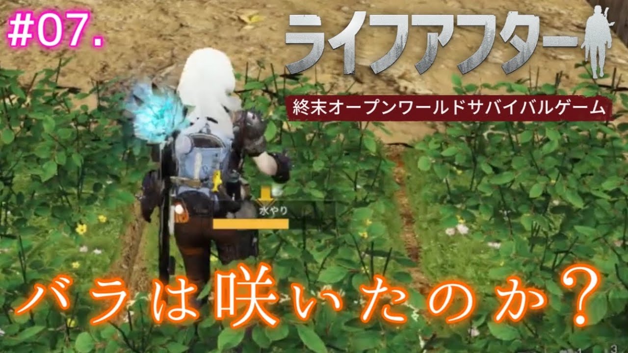 PR【#ライフアフター 07】バラは咲いたかな？