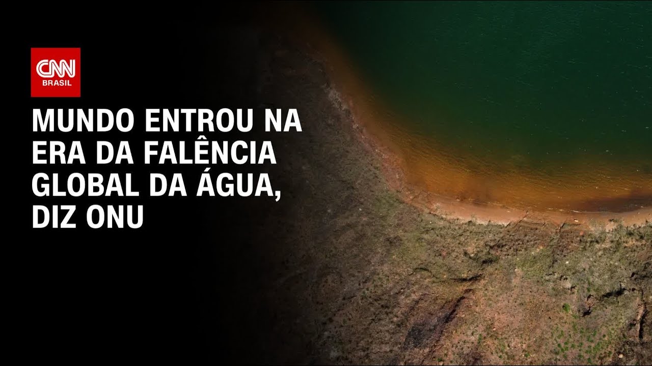 ONU declara: 
