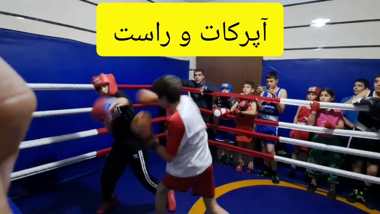 مبارز بوکسور ۱۴ ساله با بوکسور دختر ۱۸ ساله مبارزه حرفهای🥊🤯🥊