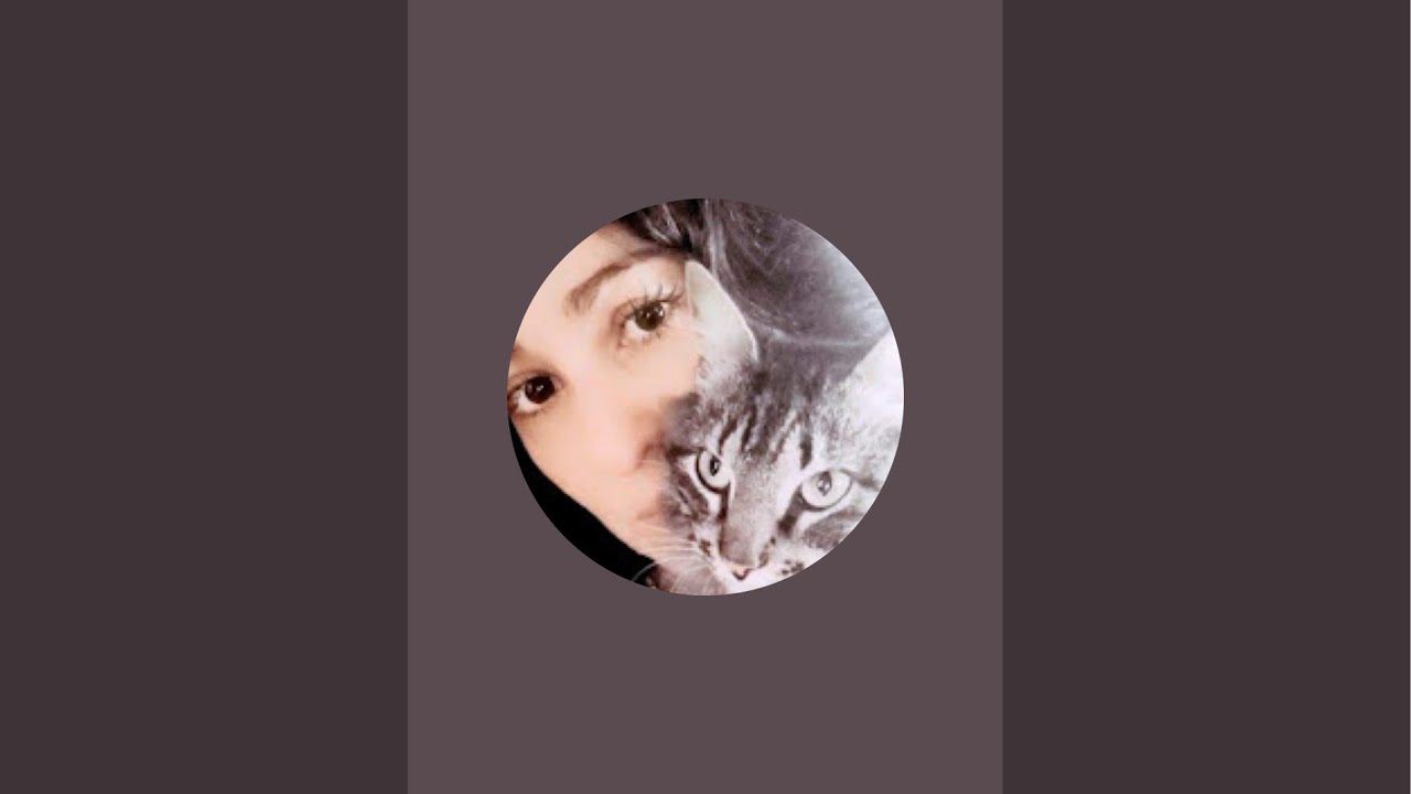 🔮🐈 TAROT EN VIVO ‼️ SI O NO ⭐️🐈‍⬛