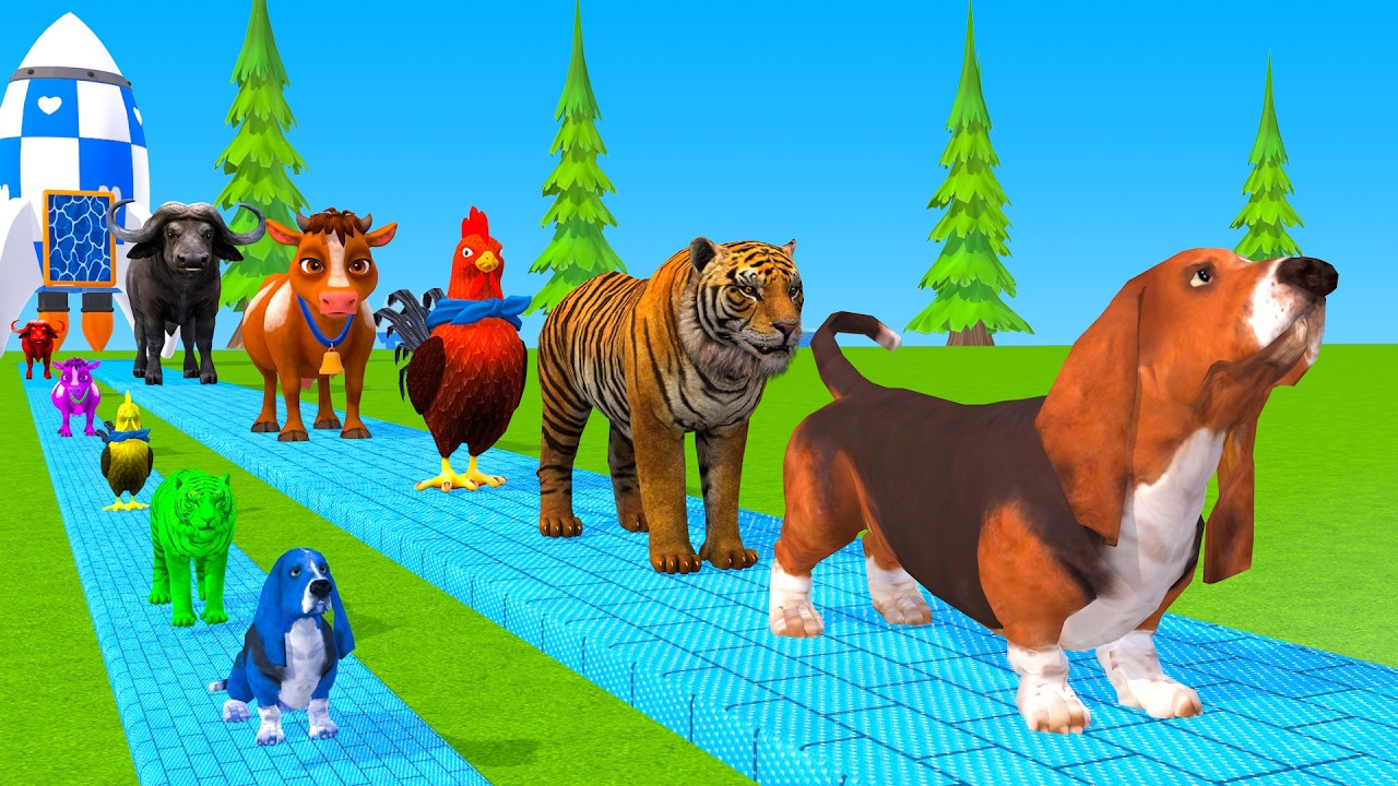 Long Slide Game With Cow Elephant Gorilla Hippopotamus Tiger 3d Animal Game Funny 3d Animals