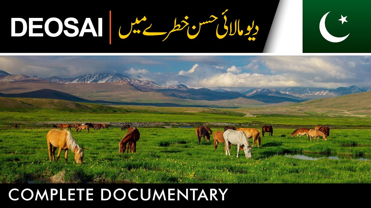 DEOSAI | WILDERNESS IN PERIL | Urdu Documentary