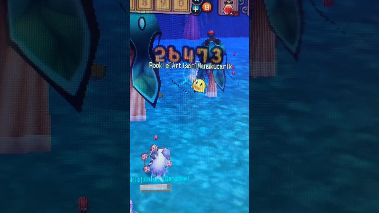 cheater macro seal bod
