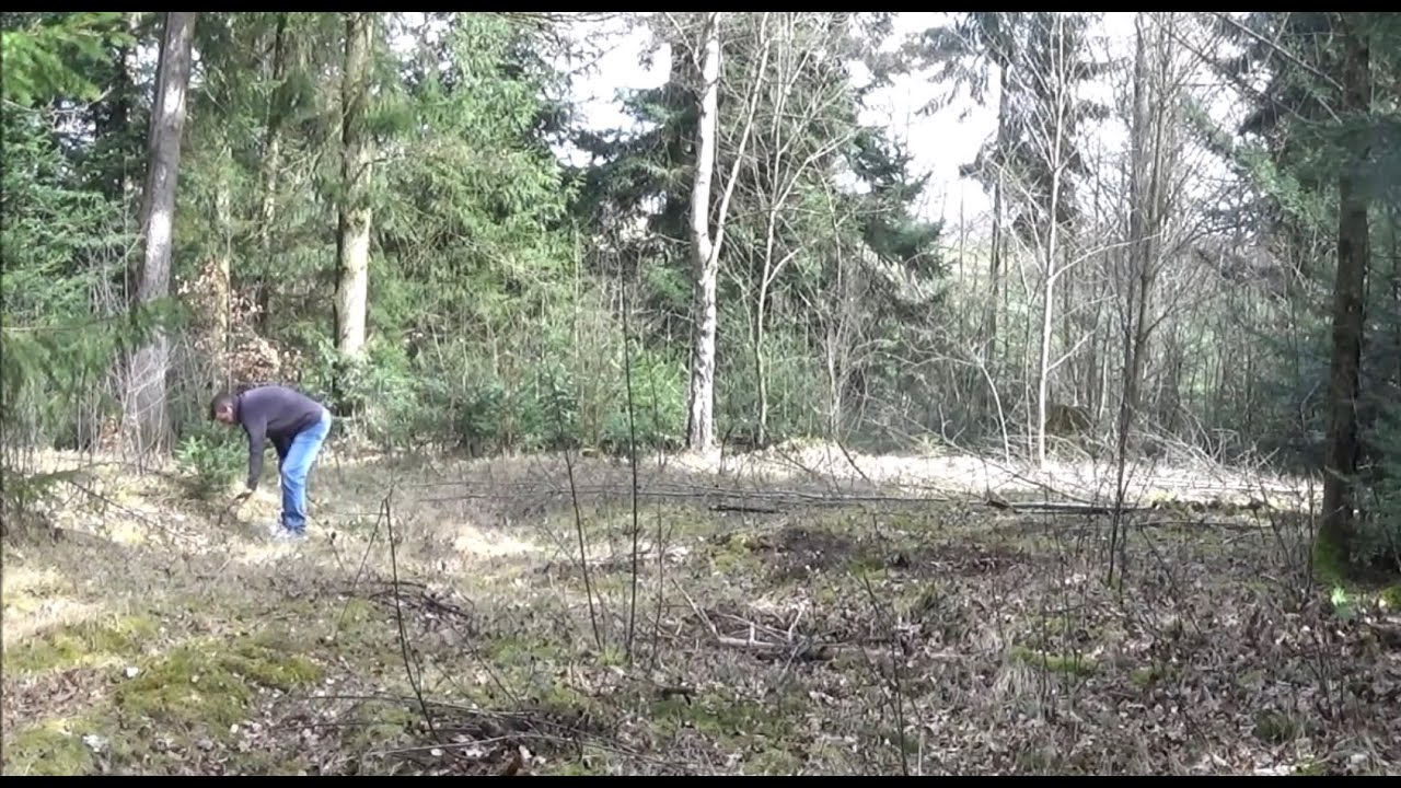 Bonsai 2020-11 - Yamadori-Jagd - unterwegs im Wald!