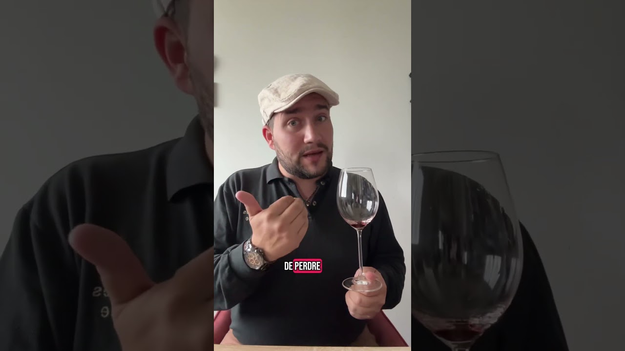#vinrouge #vin #gastronomie #degustation #petitprix #auchan #grandesurface #avis #conseils