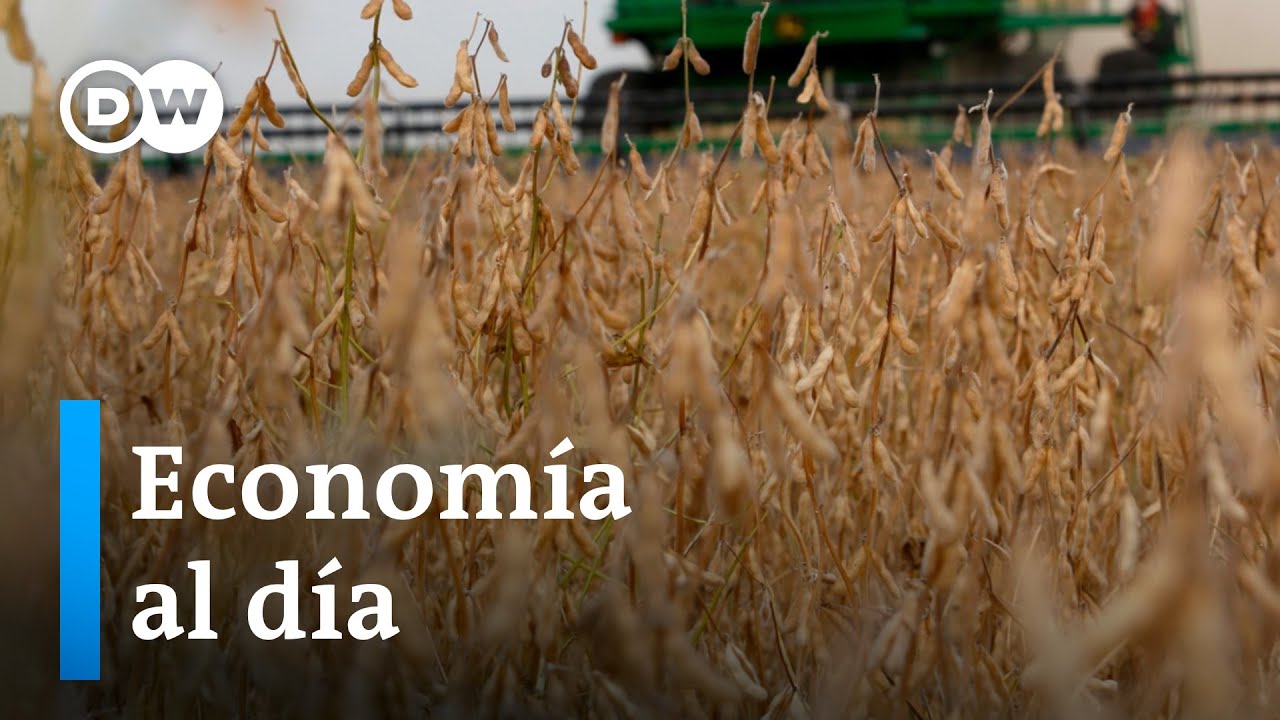 Brasil destrona a Argentina como mayor productor del mundo de harina y aceite de soja