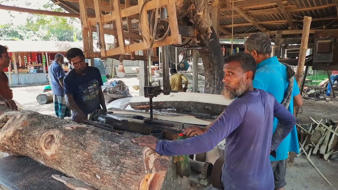 Dangerous Skill ! Amazing & Fantastic Tree Cutting Asian Skill | Fantastic Tree Cutting People Asia