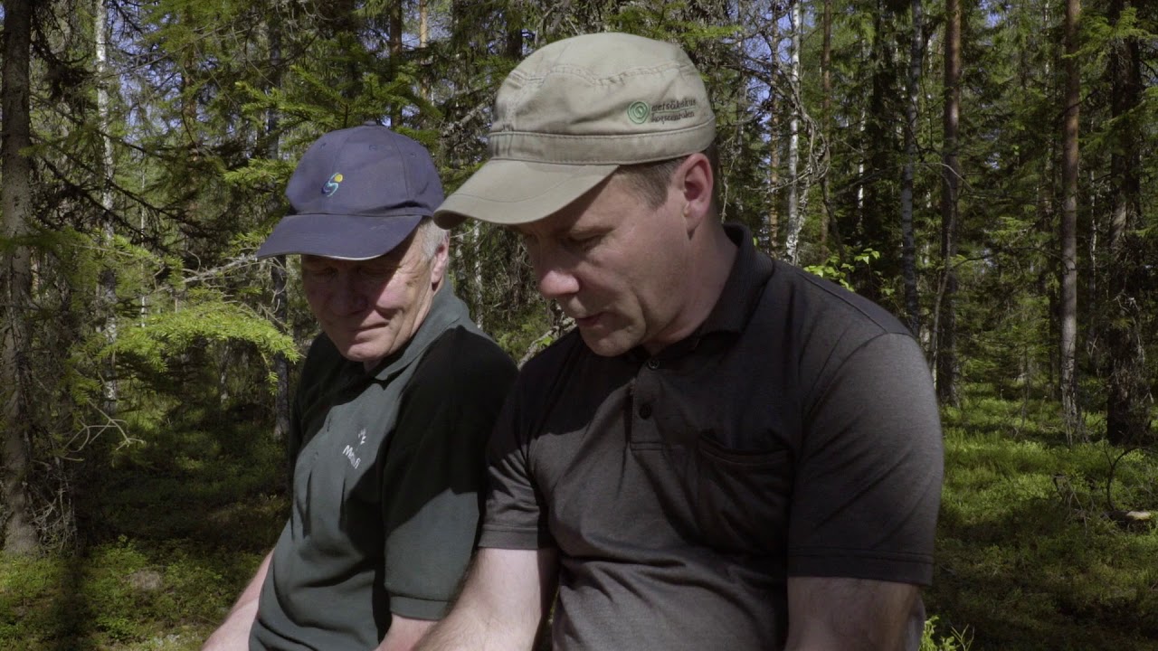 Hyvä istutuskohta