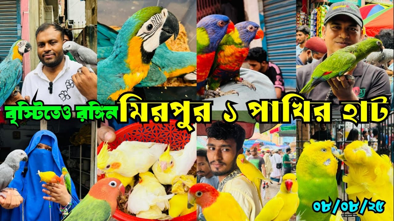 বৃস্টিতেও রঙ্গিন হয়েছে মিরপুর ১ পাখির হাট | Mirpur 1 Pakhir Hat @MurshedPets #viralvideo