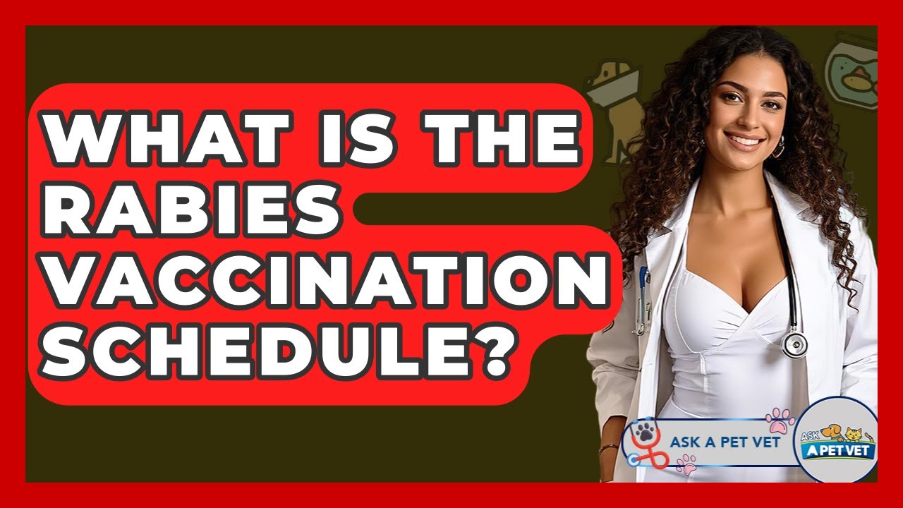 What Is The Rabies Vaccination Schedule? - Ask A Pet Vet